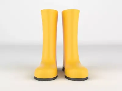 Wellington Boots 3D model