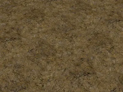 Forest Floor 01 Photoscanned Seamless Texture Texture