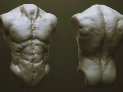 TORSOS - 33 Character and Creature Insert meshes and OBJs 3D model