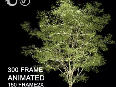 ENGLISH WALNUT TREE light 3D model 3D model