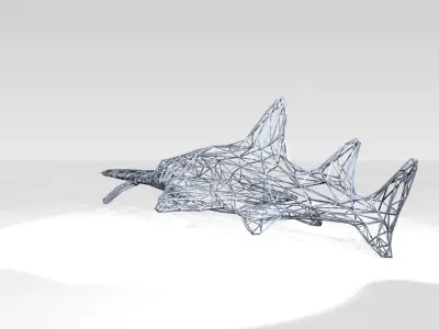 Sawshark Wireframe 3D model