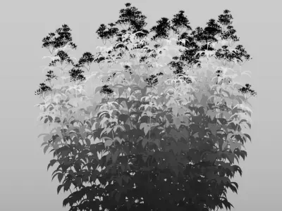 Eupatorium purpureum Nr2 - Three sizes H160-240cm 3D model