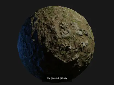 PBR Collection Variety egg Texture