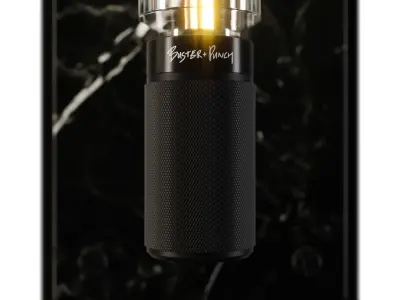 Buster and Punch Cage Wall 2 XL 3D model