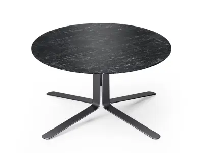 Moa Coffee Table 3D model