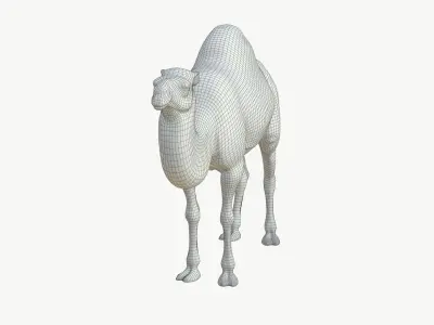  Realistic 3D Camel Model Game-Ready 