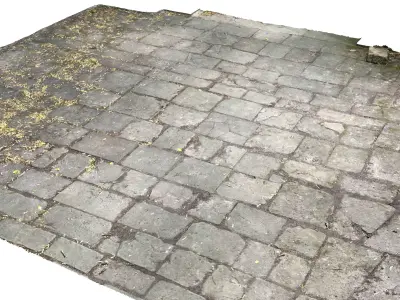 old church floor - 3d scan Free 3D model