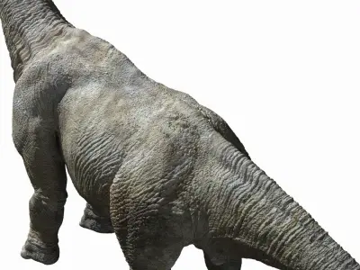  Brachiosaurus (Rigged) 