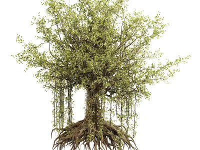 Banian tree 3D model