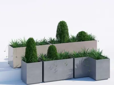 California one 3D model