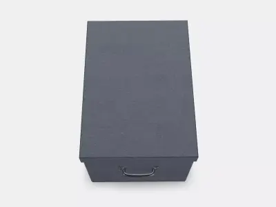TJOG Storage box with lid 2 Low-poly 3D model