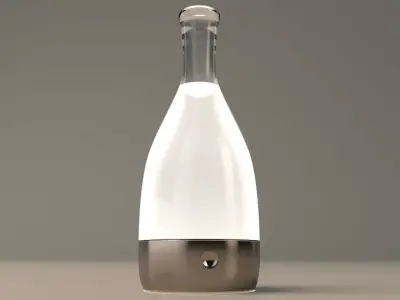 Bottle Lamp 3D model