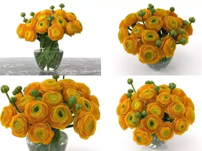 Orange Ranunculus 3D model