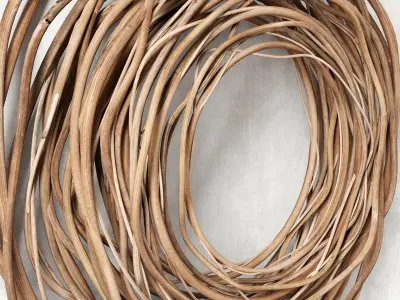 Wood branch decor 3D model