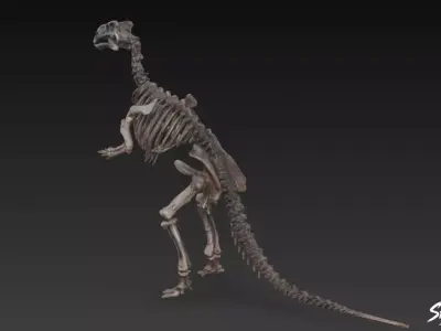 Iguanodon fossil Low-poly 3D model