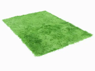 Fuleri green carpet 3D model