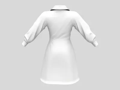 Long Sleeve Buttoned Up White Shirt Dress Low-poly 3D model