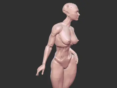 Hot Half-Robot Sci-Fi Babe 3D Model STL 3D print model