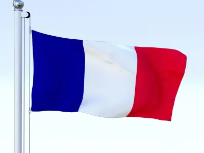 Animated France Flag Low-poly 3D model