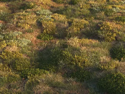 Forest grass 3D model