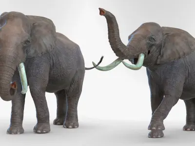  Animated Elephants Collection for Cinema 4D 