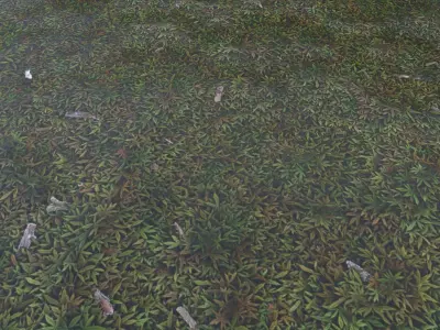 bumpy plant field 4K Texture