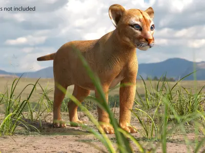  Puma Cub Rigged for Cinema 4D 