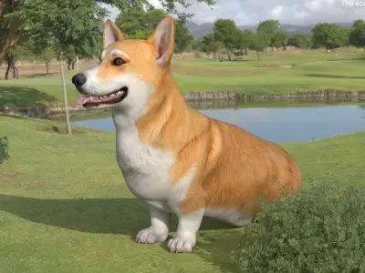  Dog Welsh Corgi Pembroke Sitting Pose 