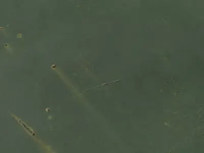 Olive Green Painted Metal  Texture