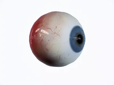 Model of a realistic eye  Low-poly 3D model