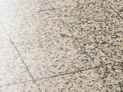 Terrazzo tiles 01 Texture
