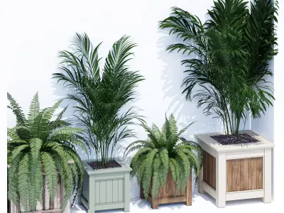 Traditonal one 3D model