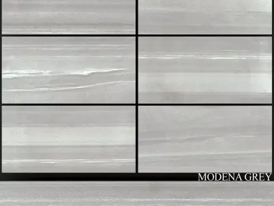 Fiore Modena Grey 3D model