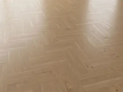  Parquet Oak Natural Brushed set 2 3D model