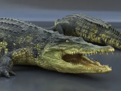  Realistic Crocodile 