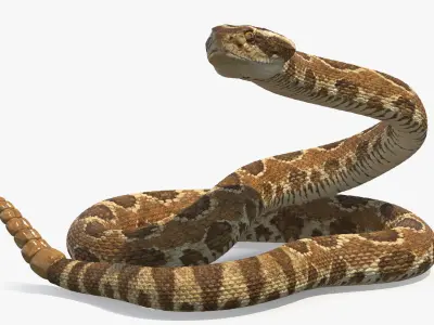  Light Rattlesnake Rigged for Maya 