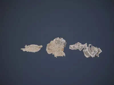Crumpled papers Low-poly 3D model