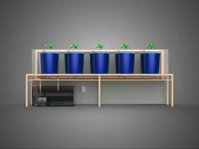 AUTO TIMER NUTRIENT HYDROPONIC PLANTS BUCKET DUTCH BATO SYSTEM 3D model