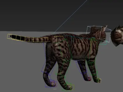  Striped Cat 