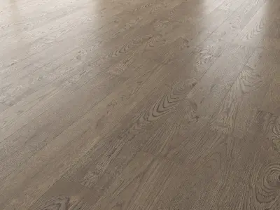 Wood Floor Set 18 Texture