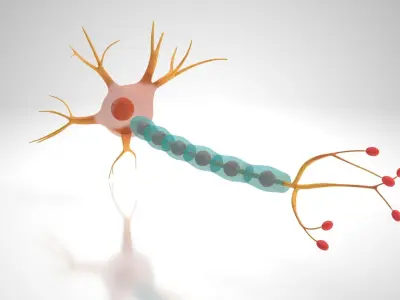 Neuron Cell Low-poly 3D model