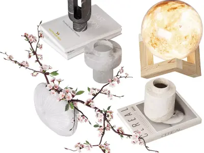 Decorative set 21 3D model buy
