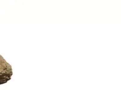 Realistic Small Rock Pack Low-poly 3D model