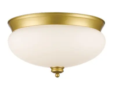Casselman Light Simple Bowl Flush Mount Free 3D model
