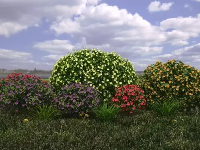 Round shrub 3D model