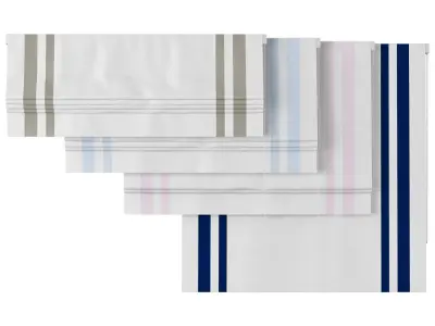 Roman Curtains 74 Pottery Barn Kids Harper Classic Border 3D model