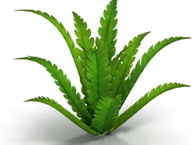 Fern bush Low-poly 3D model