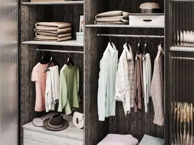 Wardrobe wardrobe with glass doors  3D model