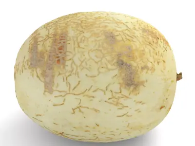 Honeydew Sunlady Melon - Photorealistic Scan Low-poly 3D model