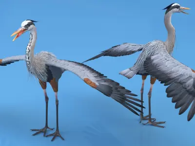  Realistic Great Blue Heron 